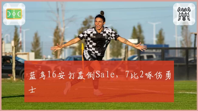 蓝鸟16安打轰倒Sale，7比2啄伤勇士