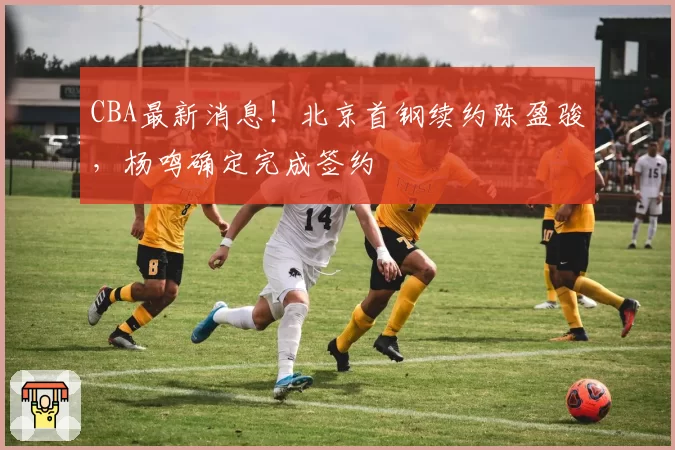 CBA最新消息！北京首钢续约陈盈骏，杨鸣确定完成签约