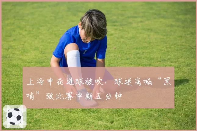 上海申花进球被吹,球迷高喊“黑哨”致比赛中断五分钟